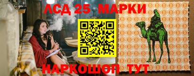 СК Ростов-на-Дону